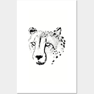 Cheetah Portrait | African Wildlife Posters and Art